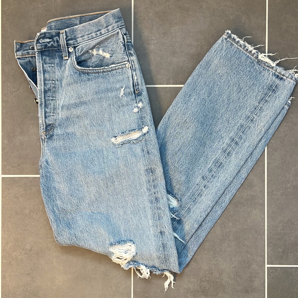 AGOLDE 90s Mid Rise Loose Fit in Fall Out